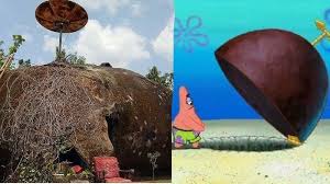 We did not find results for: Rumah Warga Wonogiri Ini Mirip Rumah Batu Patrick Di Film Spongebob Lihat Dalamnya Unik Mewah Halaman All Tribunnews Bogor