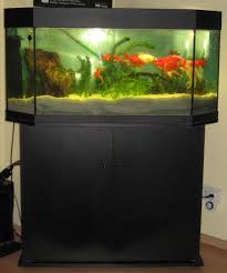 B x h x t 120 x 60 x 40 cmgebogene frontscheibemit 2 röhren. Aquarium Mit Schrank Und Abdeckung Marke Juwel 515347