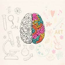 Whole Brain Gif Brain Art Brain Gif Easy Drawings