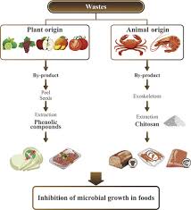 An antifungal medication, also known as an antimycotic medication, is a pharmaceutical fungicide or fungistatic used to treat and prevent mycosis such as athlete's foot, ringworm, candidiasis (thrush). Natural Antimicrobial Agents To Improve Foods Shelf Life Sciencedirect