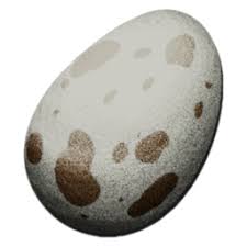 Dodo Dododex Ark Survival Evolved