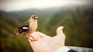 Check spelling or type a new query. What Does It Mean To Trust Jesus Jesus Film Project