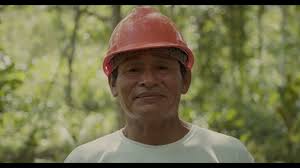 Resina de Sangre de Grado x 30ml