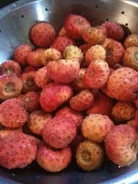 Chai Kousa Dogwood Jam Foraging Recipes Kousa Dogwood Fruit Berries Recipes