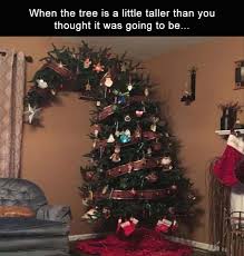 This Is Perfect It S Like Grinch And Charlie Brown And Everything Else That S Awesome About The Holidays Christmas Humor Christmas Memes Funny Christmas Memes