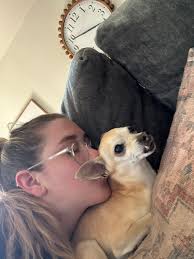 My pug Blue passed away