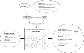 The difference between an autotroph vs. Community Level Processes Chapter 4 The Nature Of Plant Communities