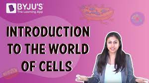Animal cells are eukaryotic cells enclosed by a cell membrane. Introduction To The World Of Cells Class 6 10 Learn With Byju S Youtube
