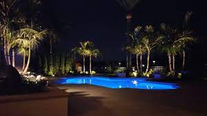 Naples Florida Back Yard Escape Tree Lighting Landscape Lighting Lighting Design