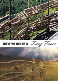 Check spelling or type a new query. 15 Easy And Decorative Diy Fencing And Edging Ideas For Your Garden Diy Crafts