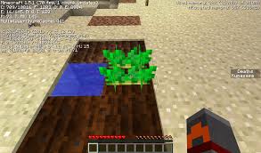 One thing that is often talked about as the downside of the game is the graphics. Mc 13325 When Destroyed Fully Grown Potatos Drop Only 1 Potato Jira