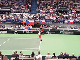 Fed cup pliskova halep cehia romania fed cup cehia romania live text pliskova halep live video. Mihaela BuzÄƒrnescu Debut CenuÈ™iu In Cehia Romania Din Fed Cup Cum A Invins O Karolina Pliskova Analiza Fanatik