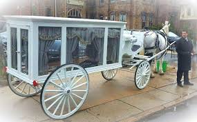 Funeral In Trenton Run By D Errico Funeral Homes With Our White Horse Drawn Hearse Rain Came And Went But We Stayed To Trans Horse Carriage Horses Horse Drawn