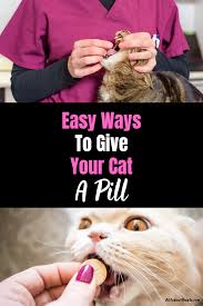 For the most difficult cats, you may have to wrap him in a blanket and let a trusted caretaker hold him while you administer the medicine. How To Get Your Cat To Take A Pill And Not Get Attacked Cat Skin Problems Cat Medicine Cat Care Tips