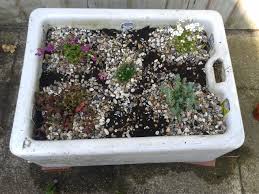 kitchen sink  bbc gardeners' world