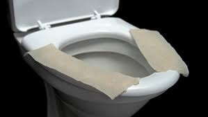 Fashion toilet seat cover set. What Happens When You Don T Use A Toilet Seat Cover