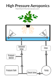 High Pressure Aeroponics Guide Northern Homestead