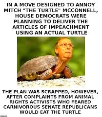 The best mitch mcconnell jokes, funny tweets, and memes! Democrats Scrap Turtle Plan Imgflip