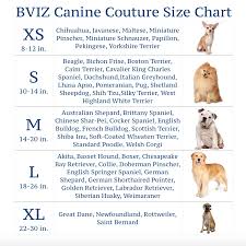 72 Conclusive Newfoundland Dog Size Chart