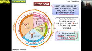 Pergerakan bahan merentas membran plasma 6. 007 Sains Tg 1 Bab 4 Subtopik 4 3 Kitar Haid Bah 1 Youtube