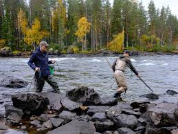 Familjedag lockade många till Mårdseleforsen