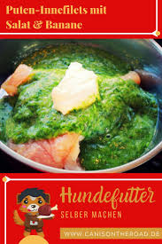 Puten Innefilets Mit Salat Banane Hundefutter Einfach Selber Machen Hundefutter Kochen Fur Hunde Hunde Futter