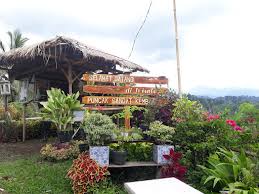 Puncak dingin sandat kembar