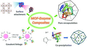 Enzyme–MOF (metal–organic framework) composites - Chemical Society Reviews  (RSC Publishing)