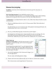 This exercise is a simulation of human karyotyping using digital images of chromosomes from actual human genetic studies. Kami Export Humankaryotypingse Javier Castel Name Date Student Exploration Human Karyotyping Vocabulary Autosome Chromosomal Disorder Chromosome Course Hero