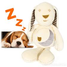 Navigate their first nights at home and get them into a bedtime routine with purina. Sleepy Bunny Helps Pups Sleep Through The Night