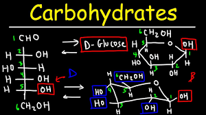 Carbon atoms may or may not be shown in a fischer projection. Carbohydrates Haworth Fischer Projections With Chair Conformations Youtube