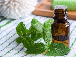 mentha oil prices slip on muted demand the economic times