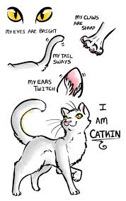 Catkin Proud Cats Furry Memes