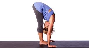 How To Master The 12 Best Hatha Yoga Poses For Beginners Cool Yoga Poses Hatha Yoga Poses Yoga Poses
