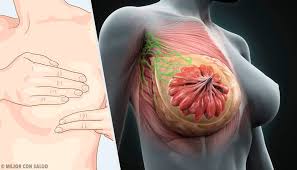 Coca cola and the red circular design are registered. La Anatomia De La Mama Mejor Con Salud