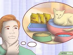 A lot of clients have told friends and families about us, and we want to thank you for. How To Choose A Cat Sitter 15 Steps With Pictures Wikihow