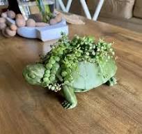 Hand Painted Turtle Plant Pot Animal Garden Flower Pot Resin Turtle  Succulent Pots