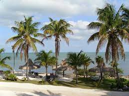 Lime Tree Bay Resort This Is Where We Got Married We Get Married Resort Favorite Places