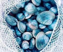When we imagined summer, we imagined aquamarine. 71 Images About Summer On We Heart It See More About Summer Beach And Sea Summer Blue Aesthetic Collage Beach Aesthetic