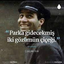 Parka Gidecekmis Iki Gozumun Cicegi Ile Ilgili Gorsel Sonucu Film Posteri Eski Film Afisleri Film Alintilari