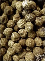 Image result for Ricinodendron