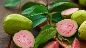 Jambu batu merupakan buah asal amerika tengah dan latin yang memiliki kandungan gizi baik bagi permasalahan kesehatan seperti kanker dan hipertensi. Ini Vitamin Dalam Jambu Biji Yang Berguna Untuk Tingkatkan Imun