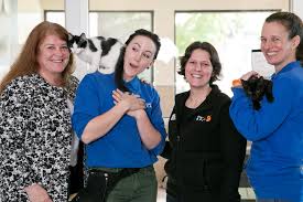 Meet the Shelters of Cat Pawsitive Pro 2020