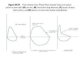 Pulmonary Function Testing Chapter 8 Pulmonary Function Testing