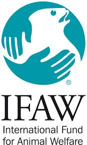 International Fund For Animal Welfare Animal Welfare Marine Mammals Animals
