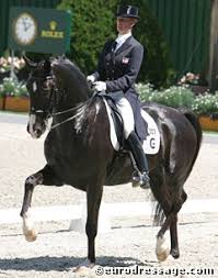 If you've ridden two great olympic horses as i. Anky Van Grunsven And Gestion Salinero Win Grand Prix Special