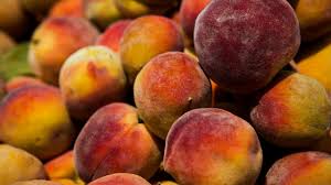 Peach varieties developed at the florida agricultural experiment station, an agricultural and natural resource research program of the university of florida's institute of food and agricultural. Florida Peaches Pack A Punch As A Succulent Snack Lab Manager