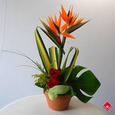 Simple Bird Of Paradise Flower Arrangement Pin On Asb Banquet May