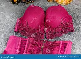 女人内衣由胸罩和内裤组成库存照片. 图片包括有生活方式, 有花边, 背包, 呼吁, 珠宝, 粉红色- 170278548