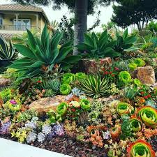 1001 Idees Fantastiques De Decor Avec Plantes Grasses D Exterieur Jardin Exotique Decoration Jardin Terrasse Jardin Mediterraneen